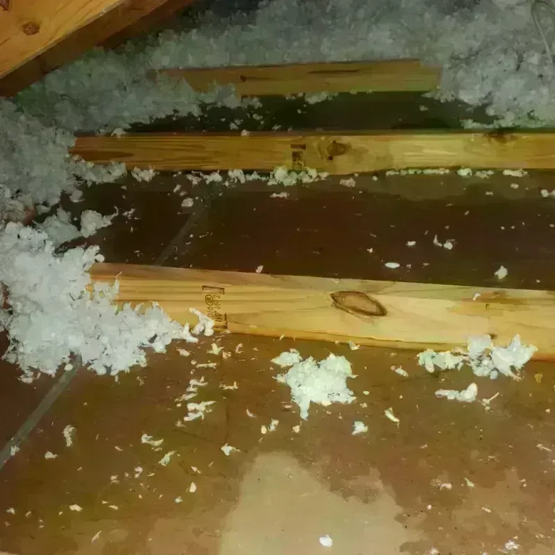 Attic Water Damage in Prineville, OR