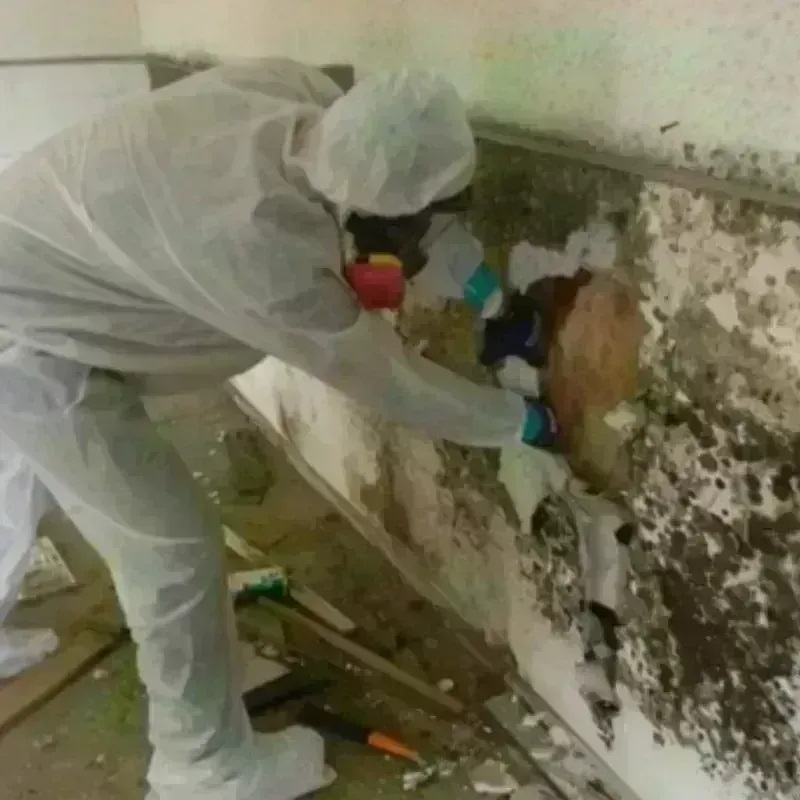 Mold Remediation and Removal in Prineville, OR