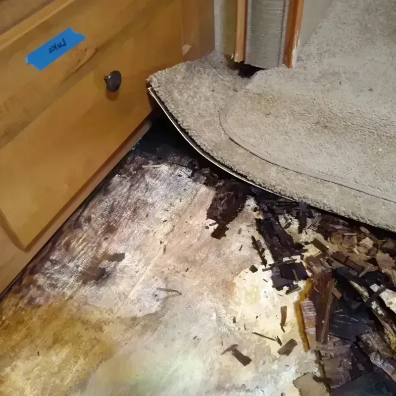 Wood Floor Water Damage in Prineville, OR